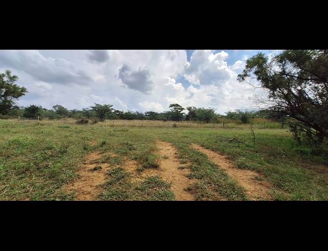 272HA FARM FOR SALE IN KOSTER